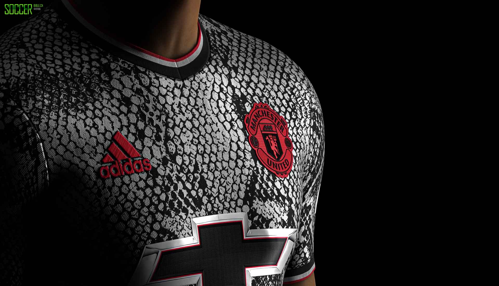 SETTPACEPOGBOOM 2016 